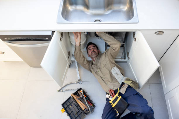 Best Plumbing System Maintenance  in Dane, WI