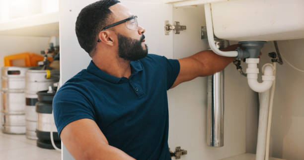 Best Garbage Disposal Repair and Installation  in Dane, WI